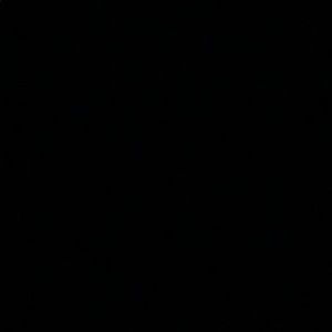 Meet your Posher, Jackson